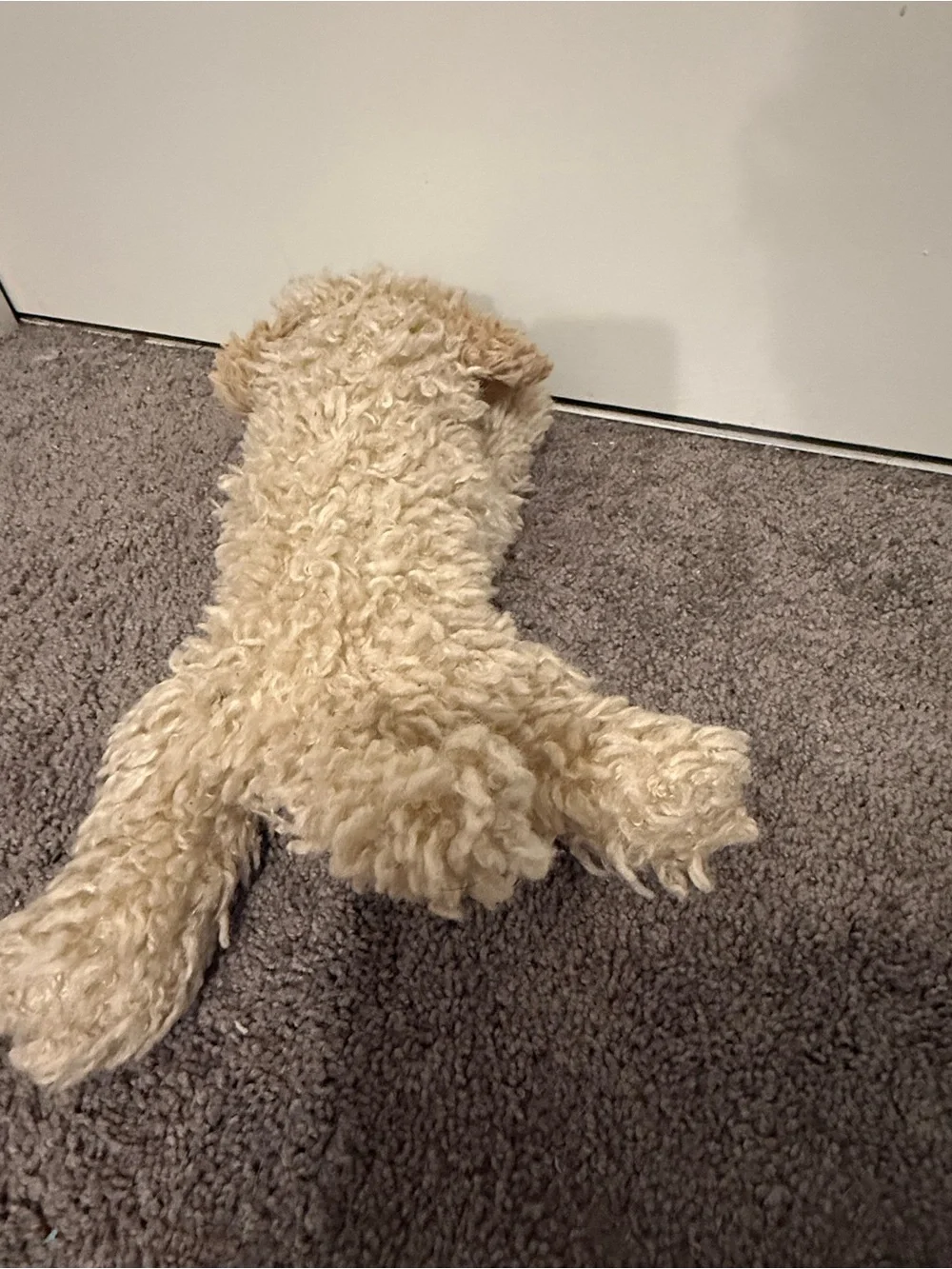 FAO Schwarz doodle puppy bichon dog shaggy fur realistic plush floppy stuffed